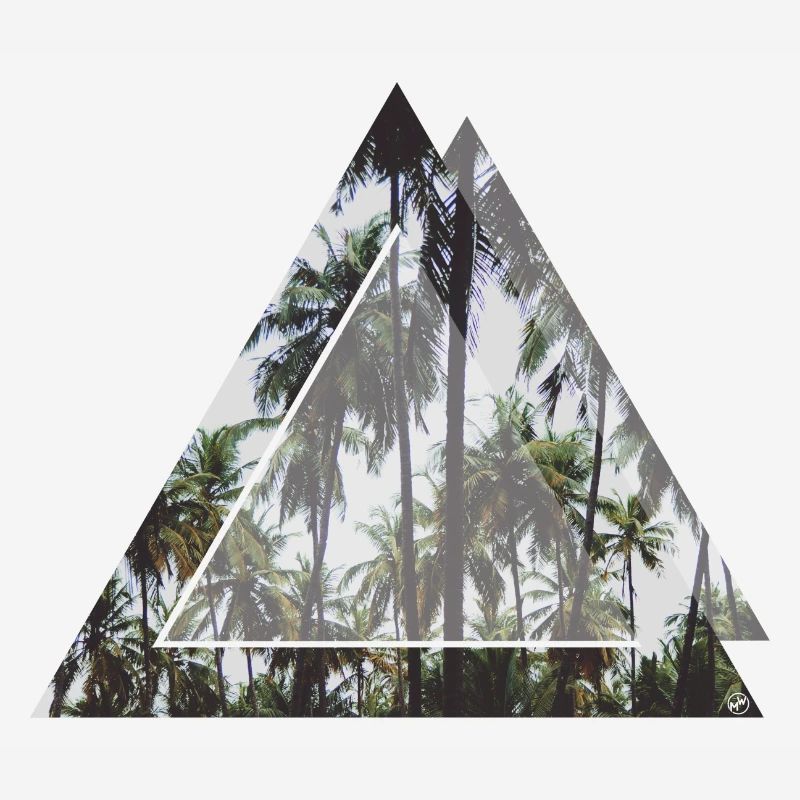Triangular palm trees