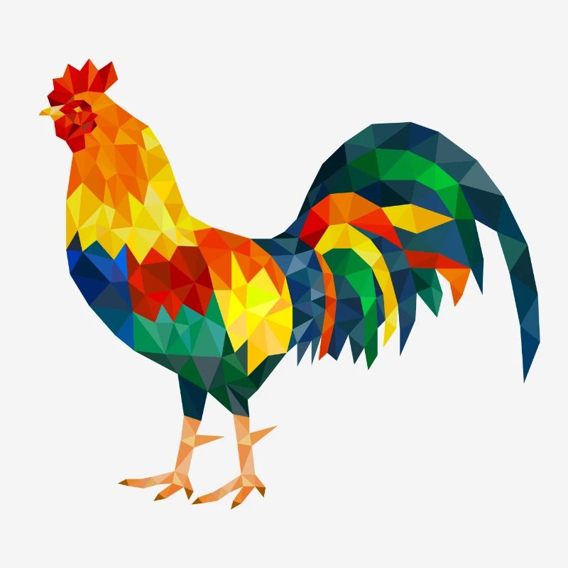 gockel de poulet coloré polygone coq