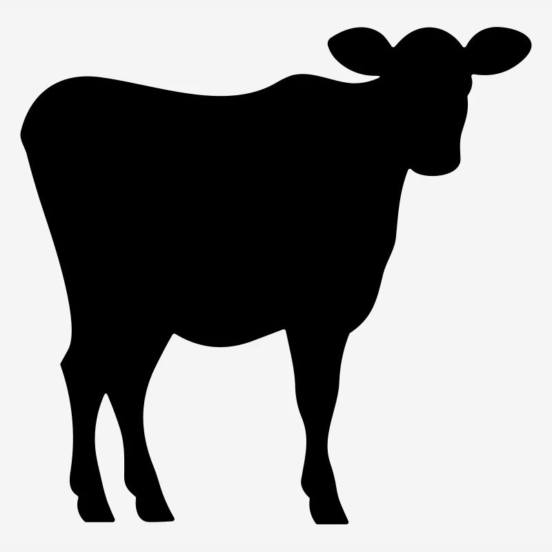 vache