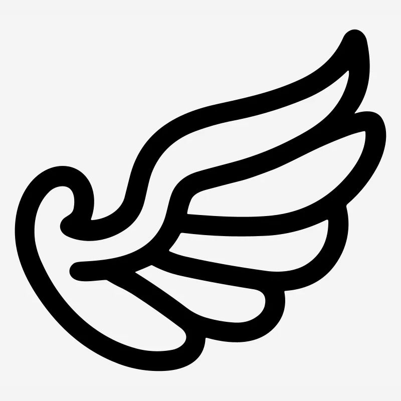 Ailes d'ange