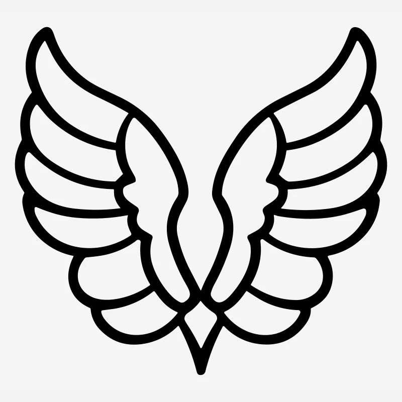 Ailes d'ange