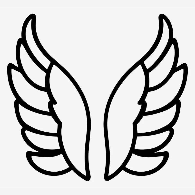 Ailes d'ange