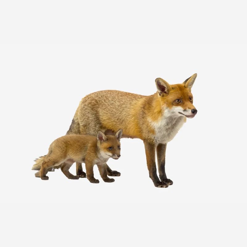 Fuchs