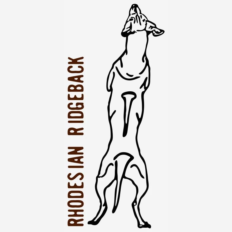 Rhodesian Ridgeback back