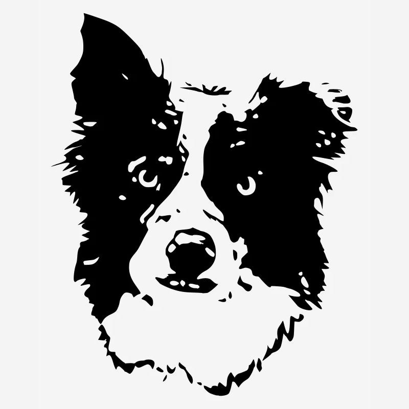 Border_Collie2_cb
