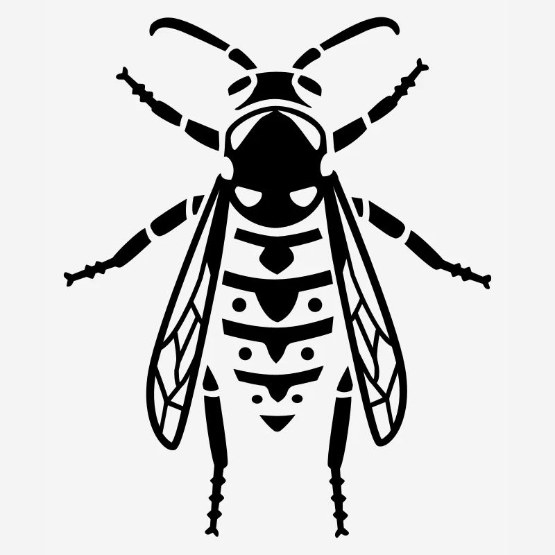 Insectes - Wasp