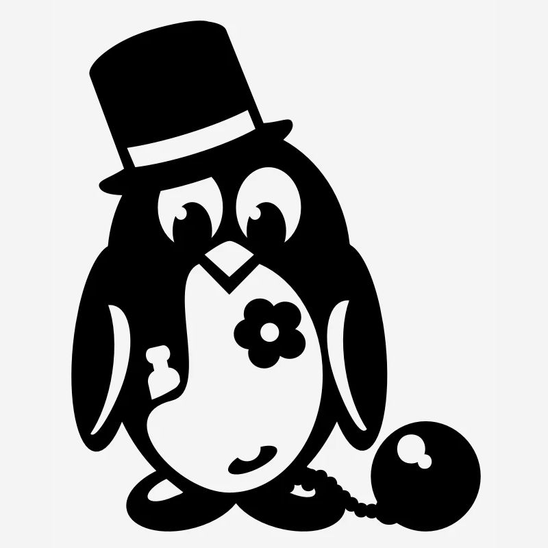 penguin bachelor