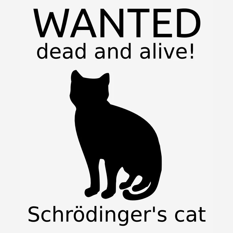 Chat de Schrödinger