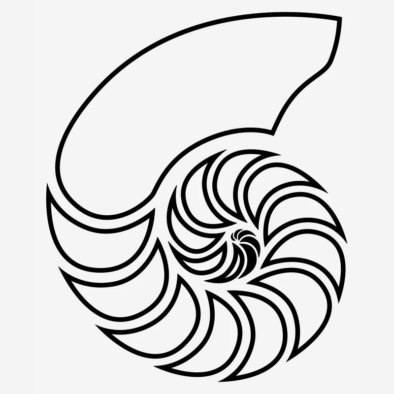 nautilus spiral shell