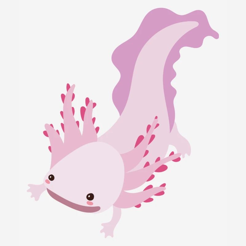 Axolotl