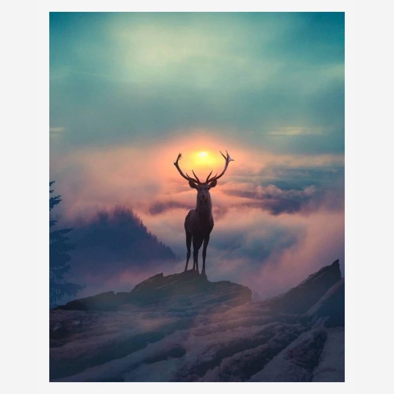 Cerf du soleil