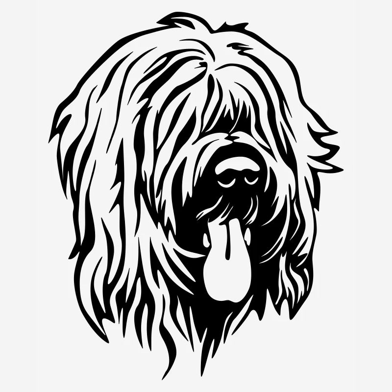 Tête de Briard