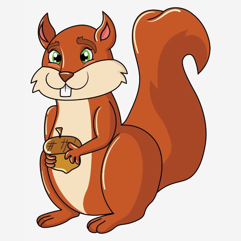 Eichhörnchen
