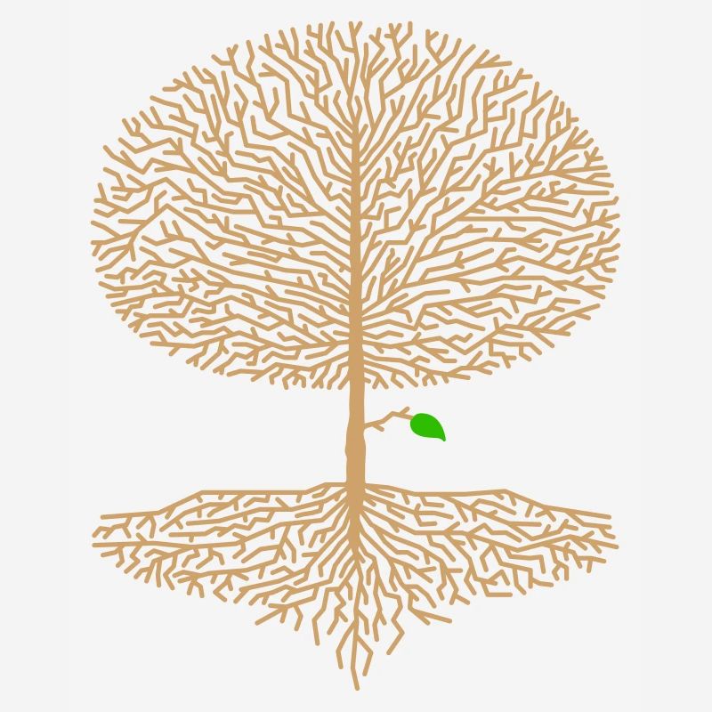 Deciduous Tree Crown Forest Oak Beech Nature Branch Hope