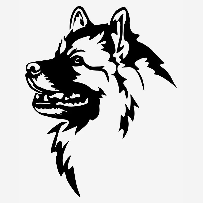 Tête de Wolfsspitz