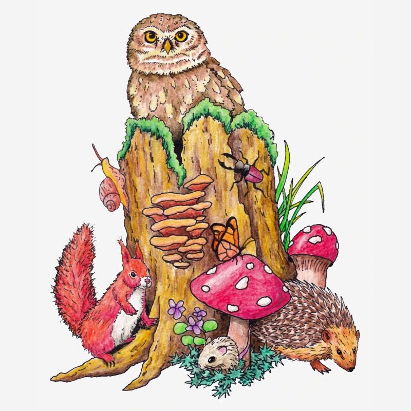 Forest animals