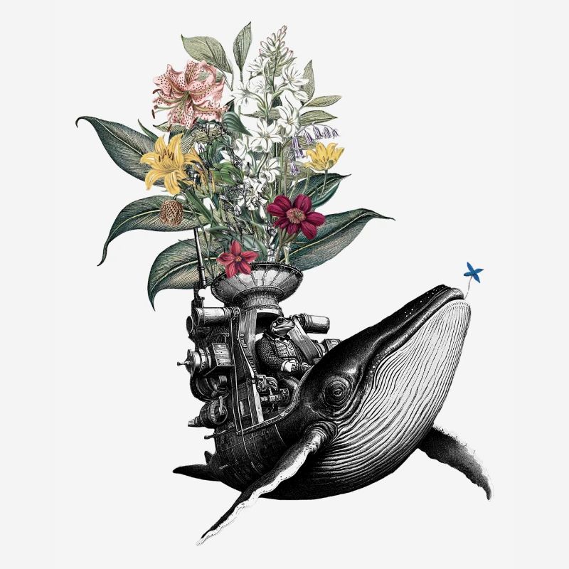 Félicitations – Grenouille, Baleine, Fleurs