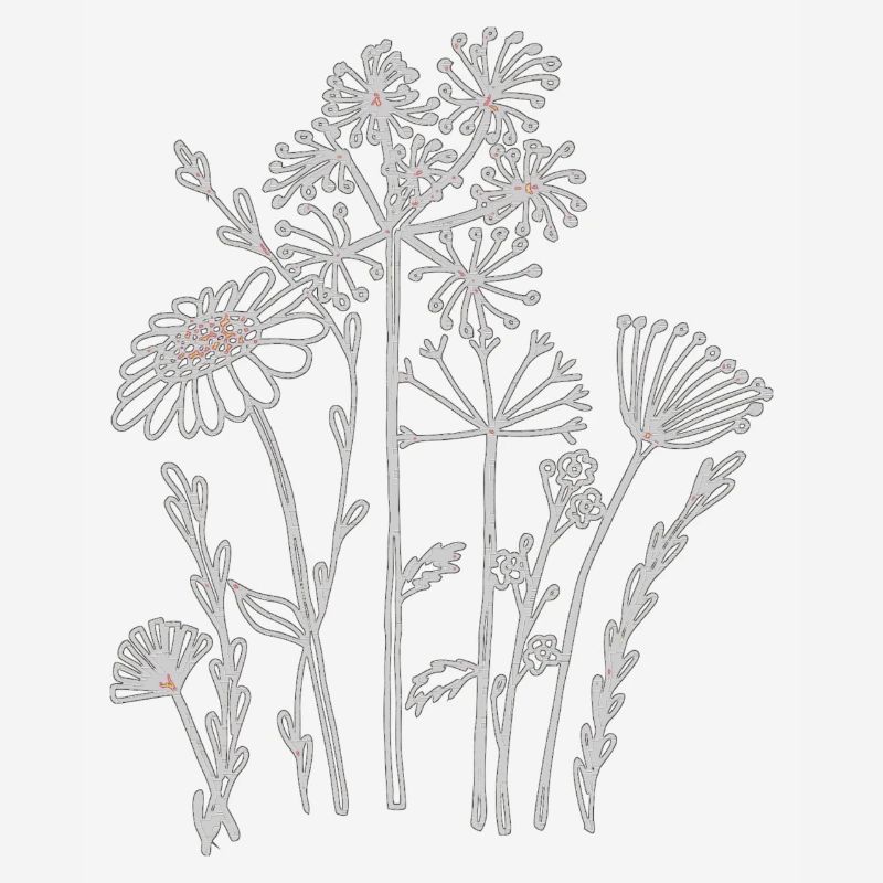 Fleurs séchées