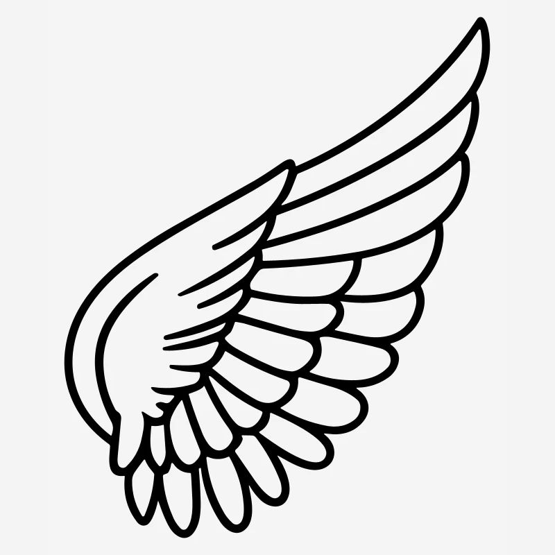Ailes d'ange