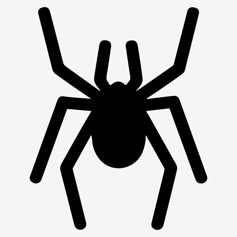 spider