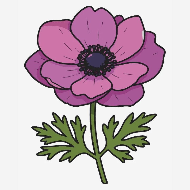 fleur d’anémone