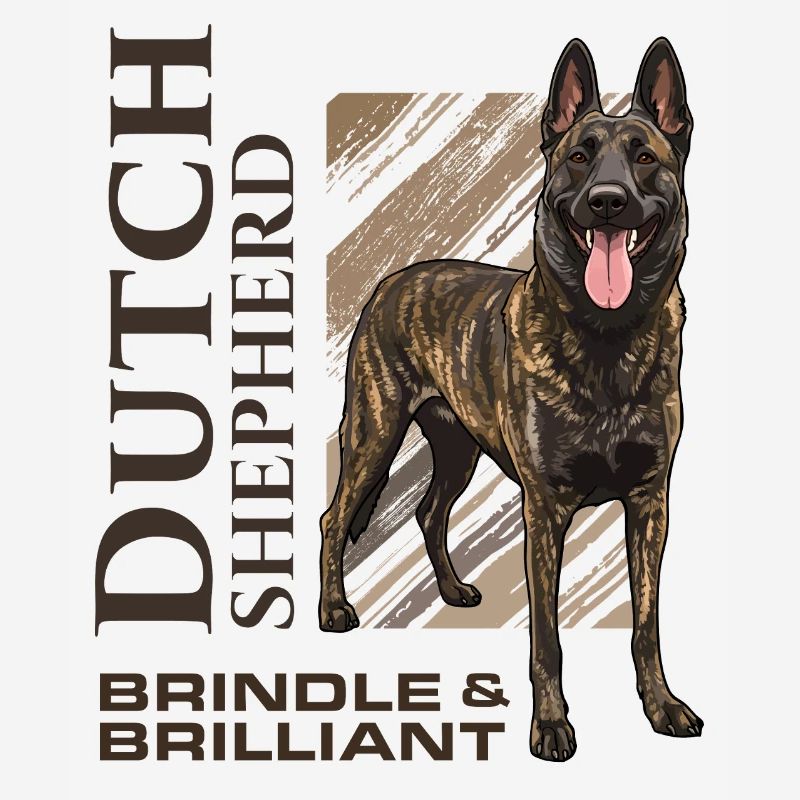 Dutch Shepherd - Dutchie 