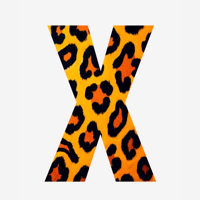 Leopard X Muster