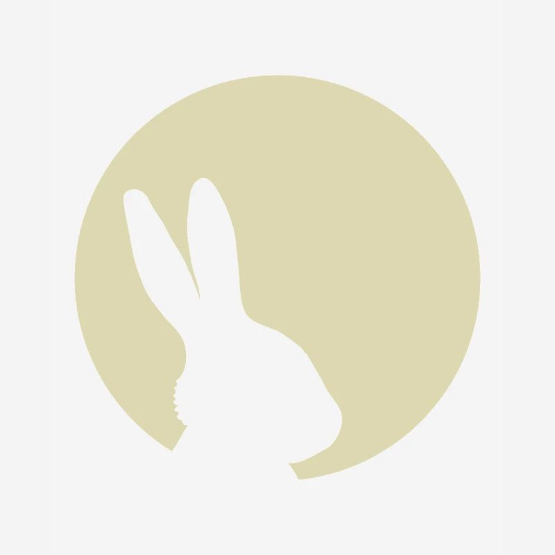 Bunny Moon Rabbit Bunny Easter