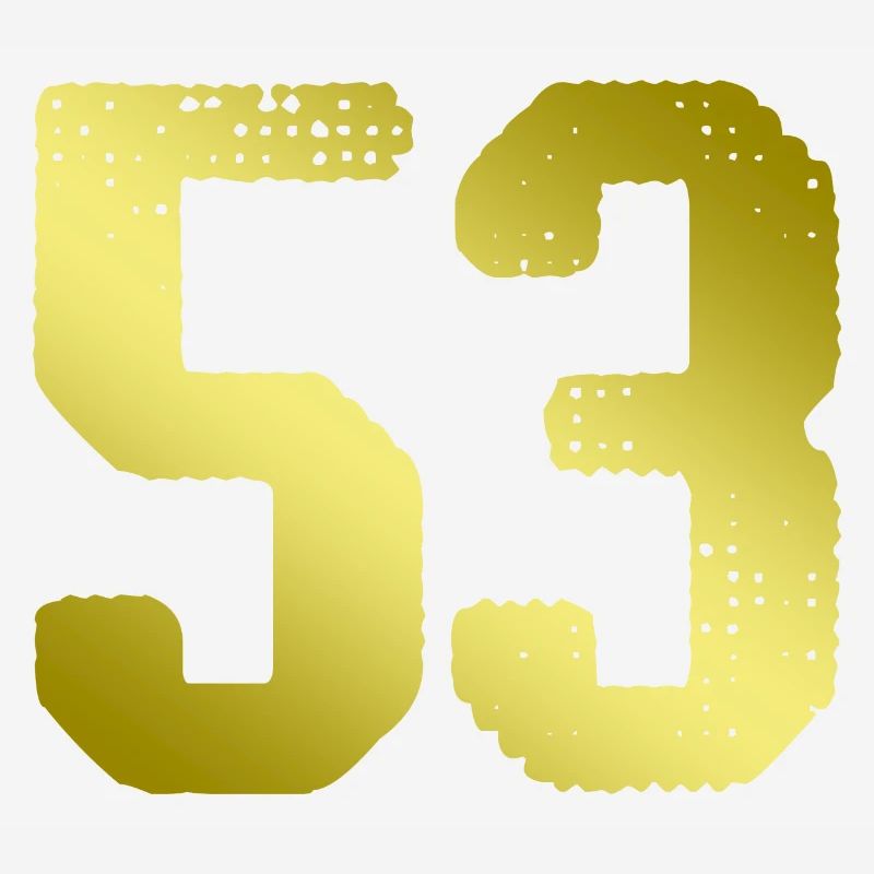 maillot numéro 53