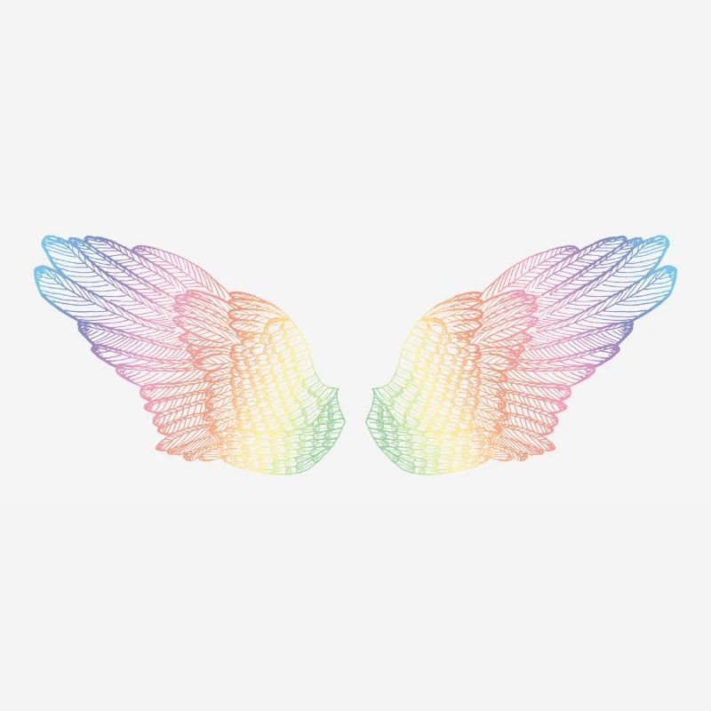 rainbow wings flight mode