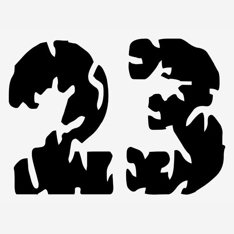 23 Maillot numéro