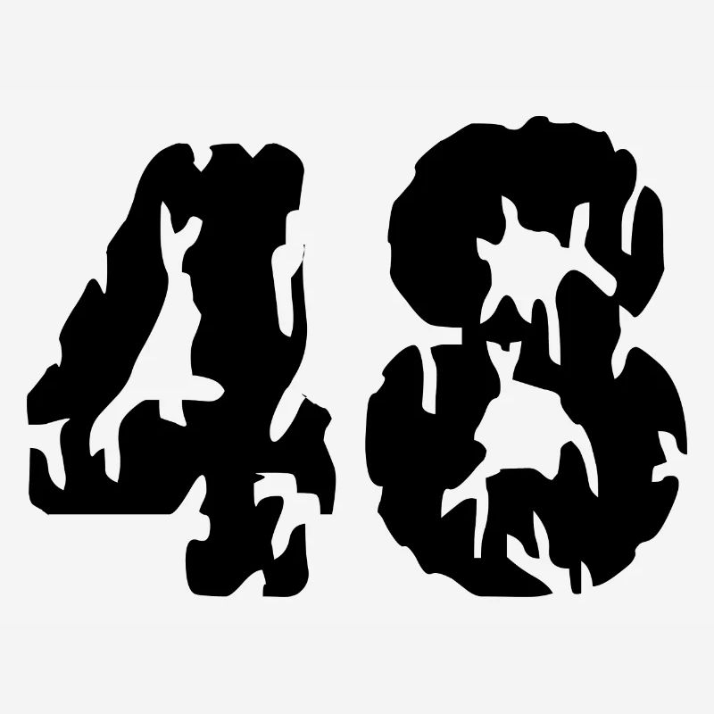 48 Maillot numéro