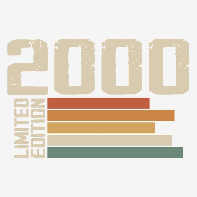 2000 Vintage - Retro 2000 Geburtstagsgeschenk 2000