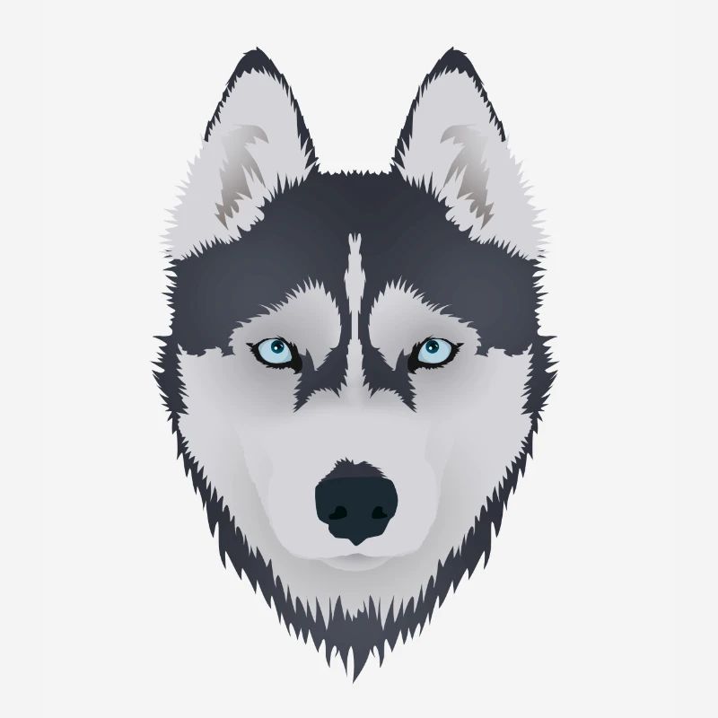 Husky 2