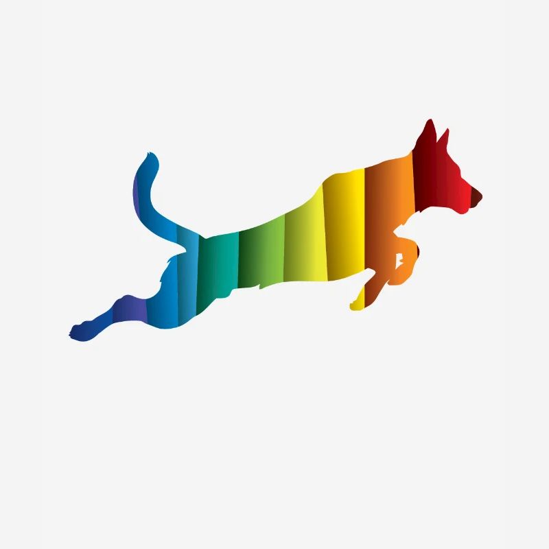 Malinois sautant chasse en cours d'exécution