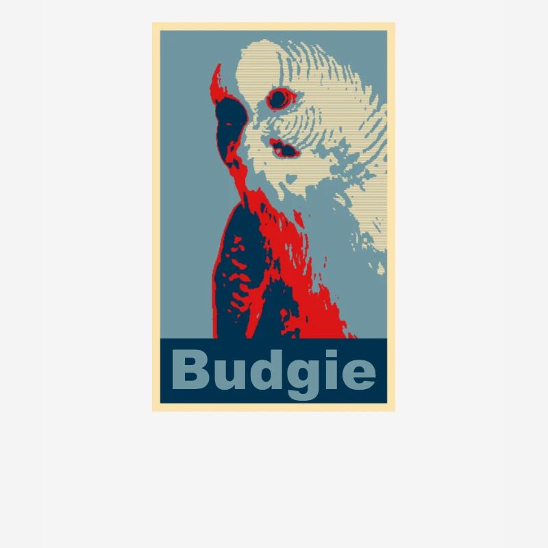Perruche budgie image