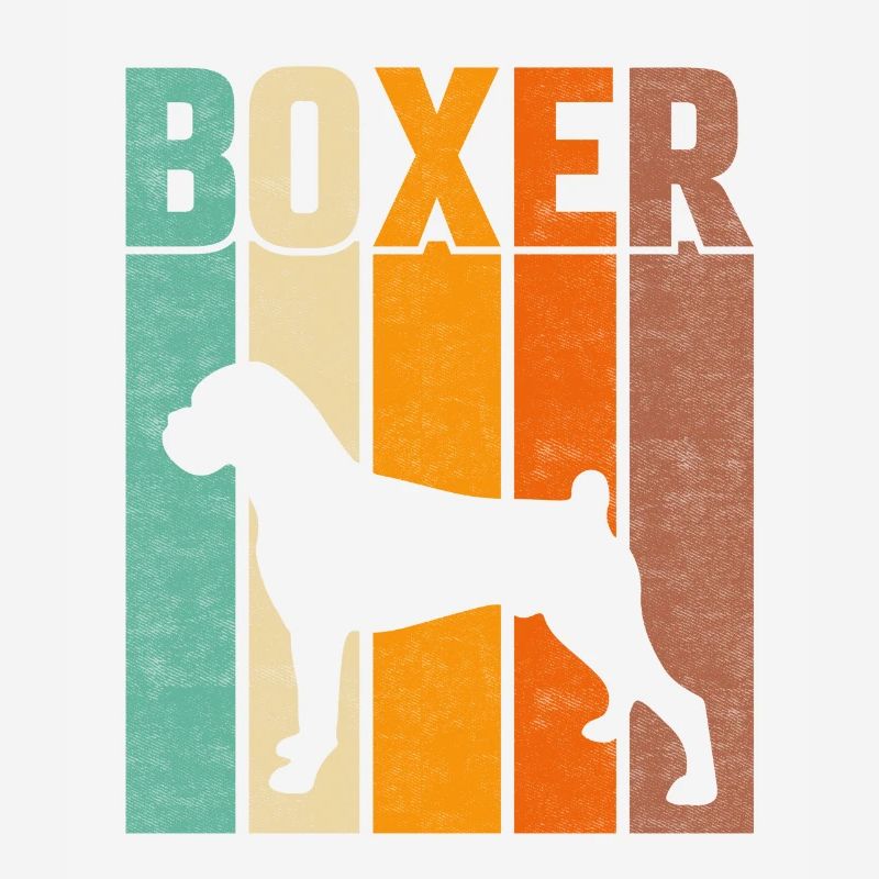 Boxer Rétro