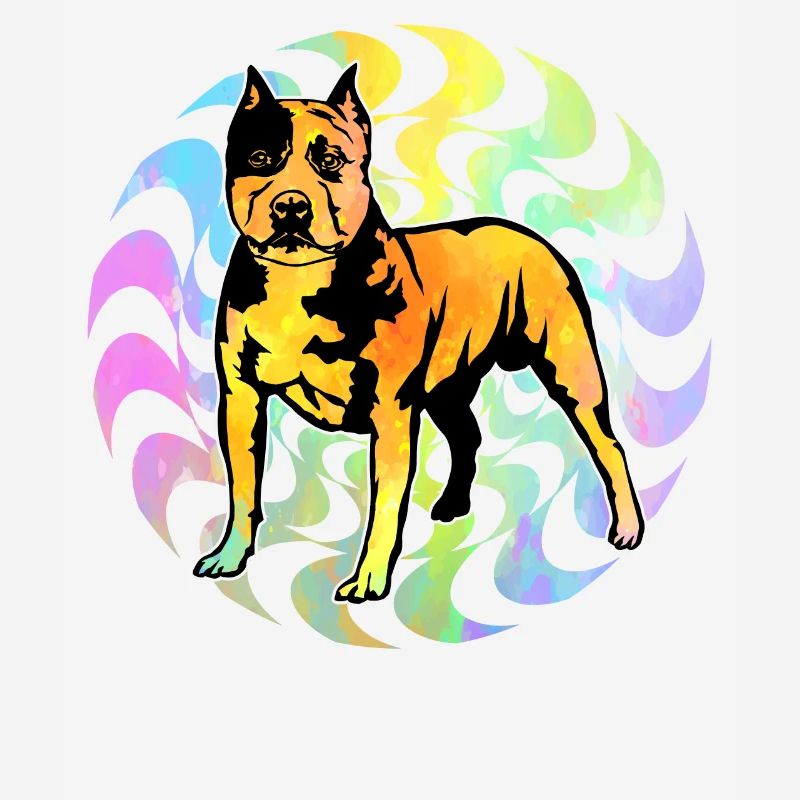 Pitbull Rétro
