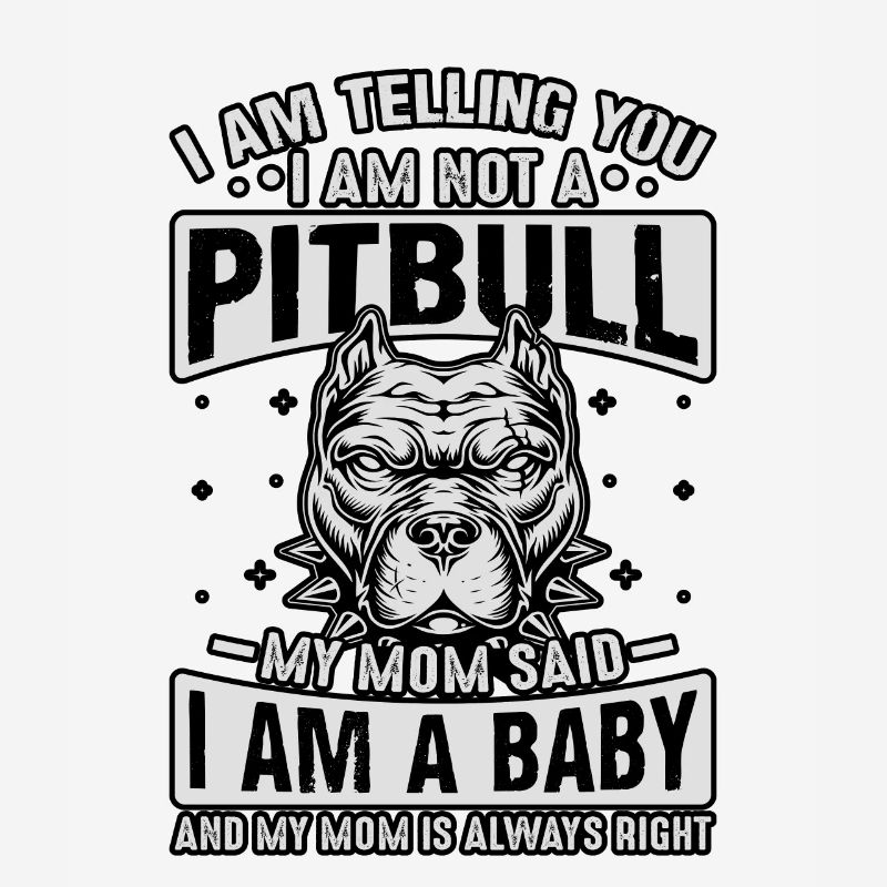Je te dis pitbull ma mère a dit que je suis un bébé