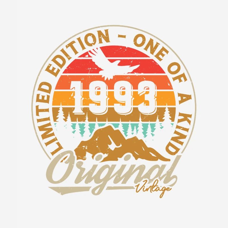 Original 1993 Vintage Retro Geburtstagsgeschenk