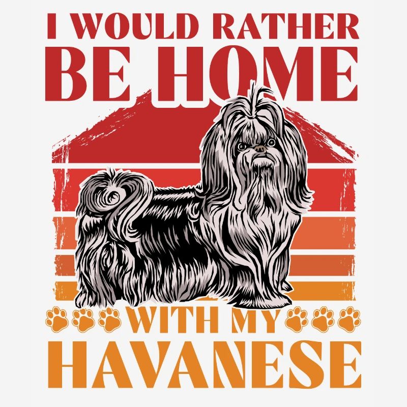 I would rather be home with my Havanese