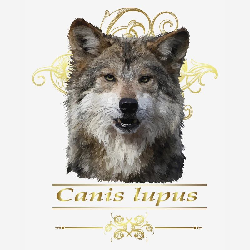 Loup
