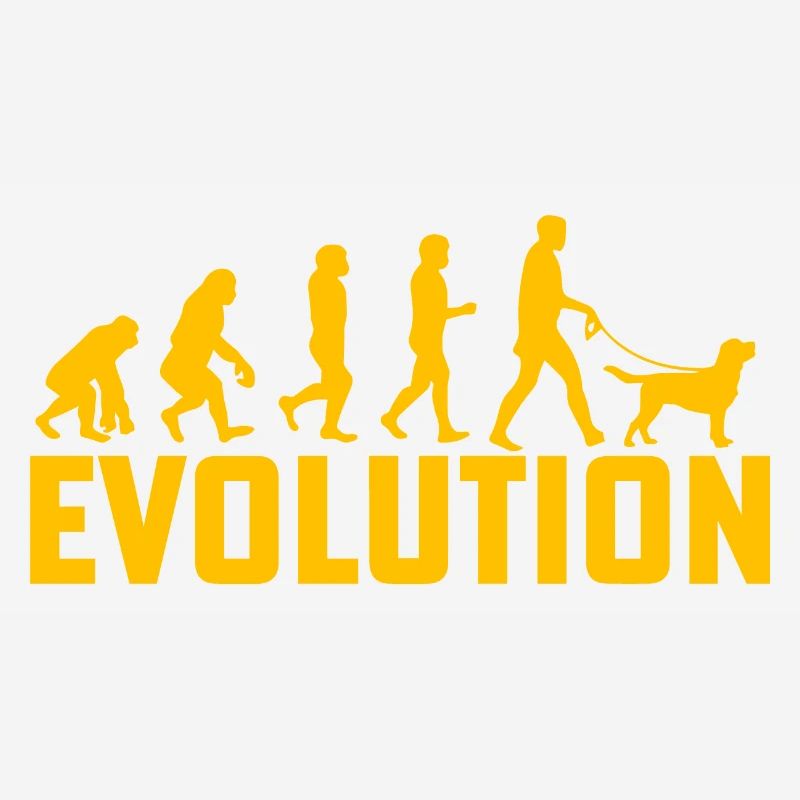 Labrador Evolution