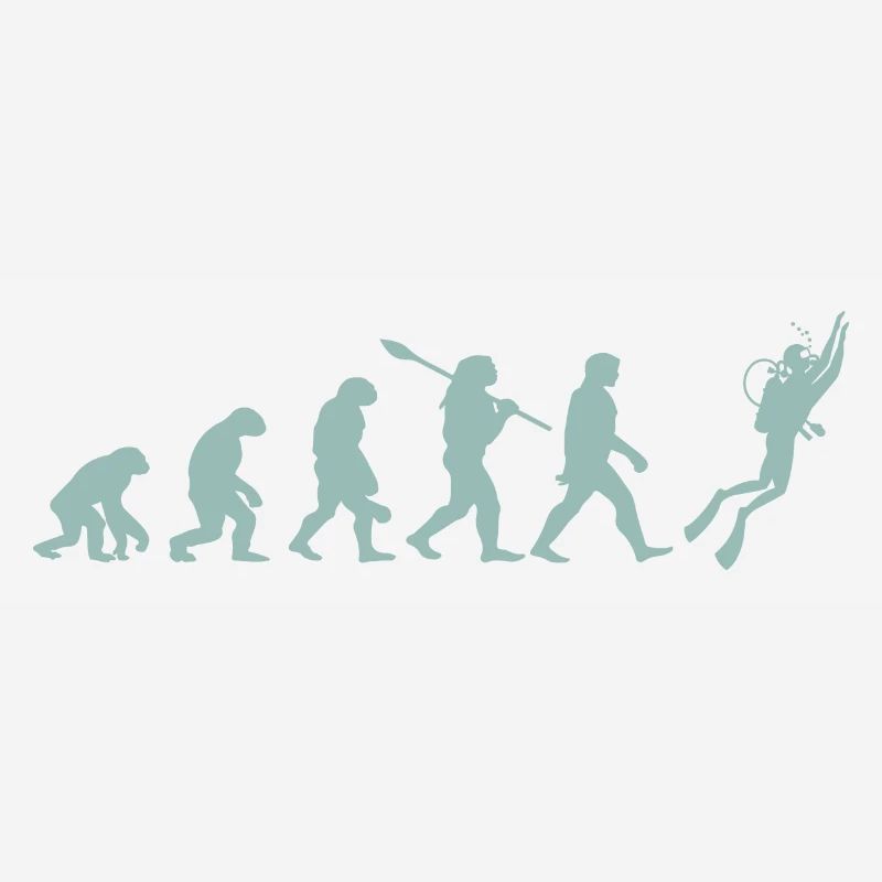 Tauchen Evolution