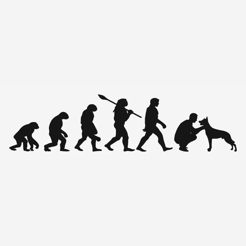 Evolution Funny Belgian Shepherd Dog Malinois