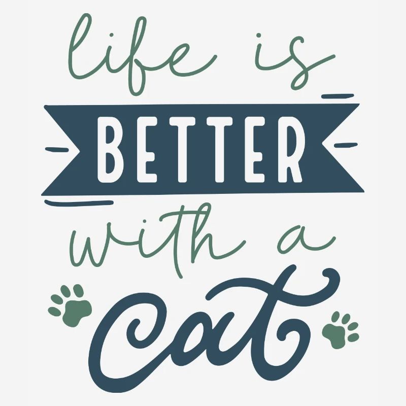 Das Leben ist besser mit einer Katze