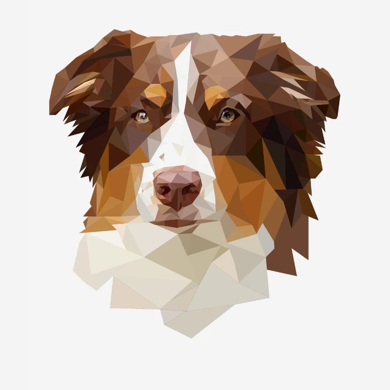 Australian Shepherd, Red Tri Polygon Stil