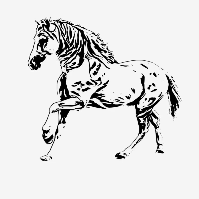 Cheval