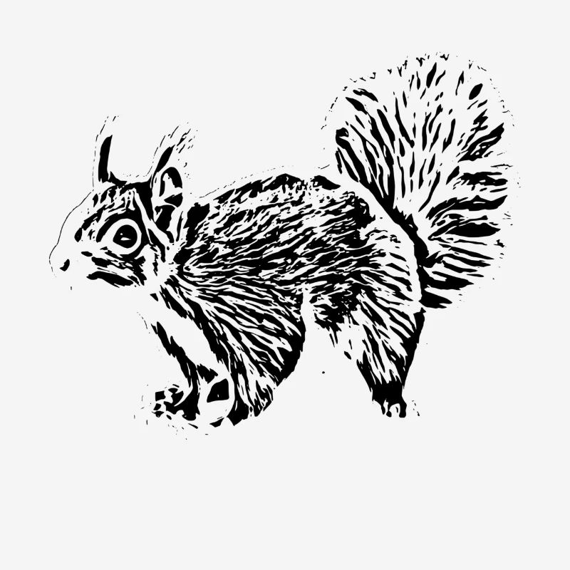 Eichhörnchen