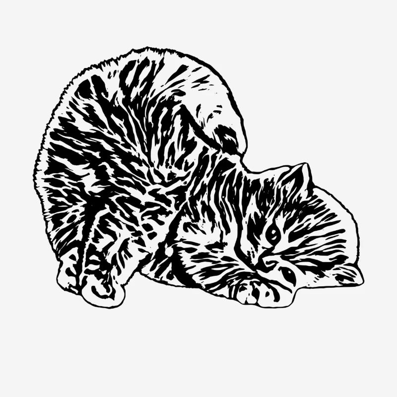 Chat